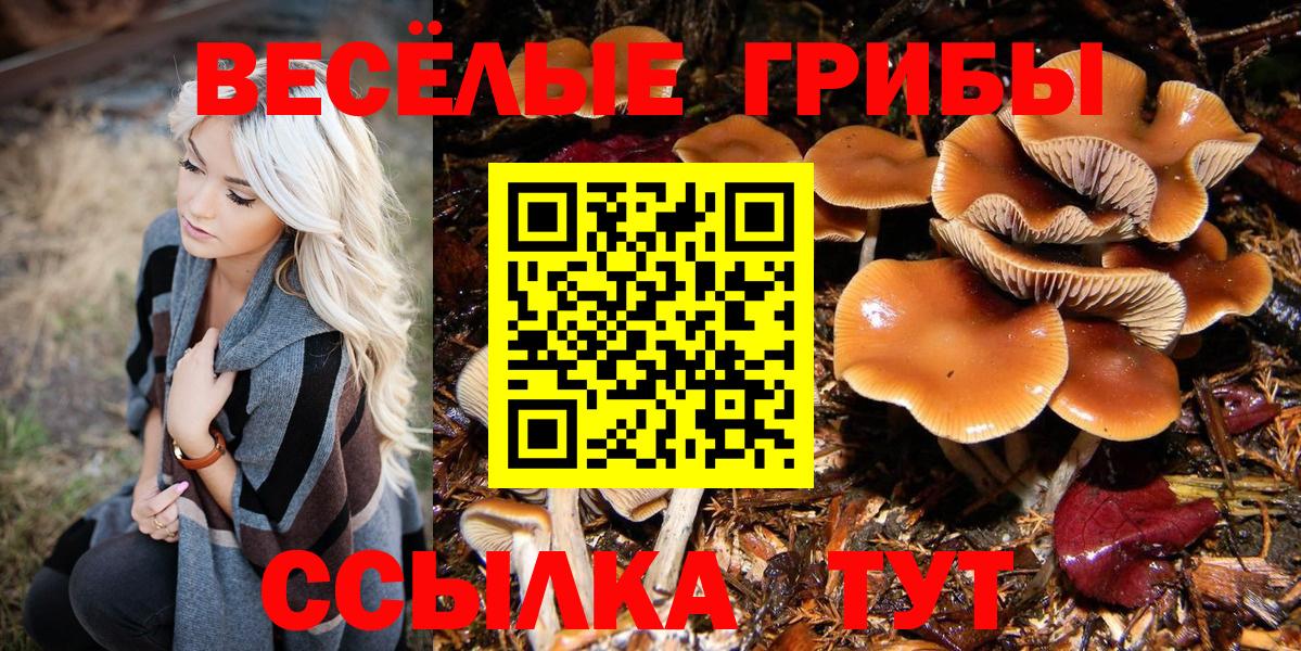 Гуково  Псилоцибиновые грибы MAGIC MUSHROOMS  Вход с VPN  Псилоцибиновые грибы прущие грибы 